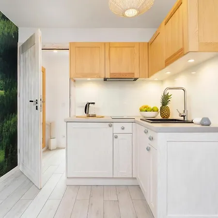 Butikowe & Sauna By Renters Appartement *